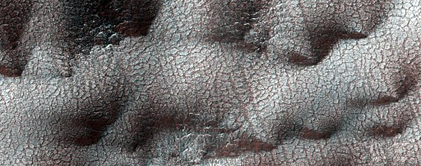 Geyser Locale Dubbed Macclesfield