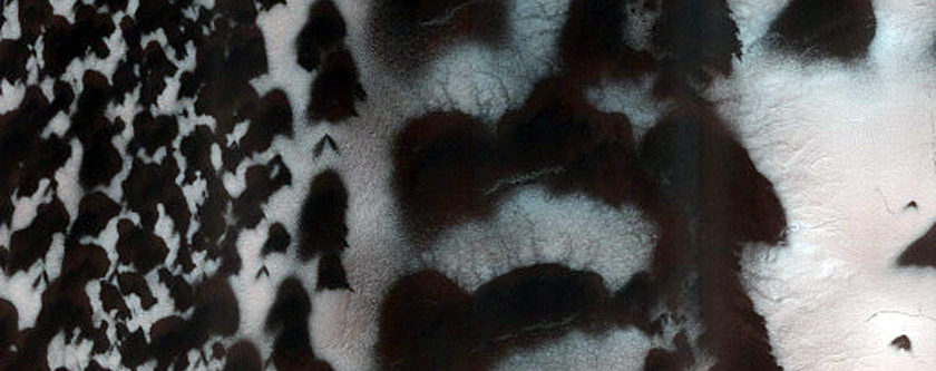 Seasonal Monitoring of Site with Odd Topography