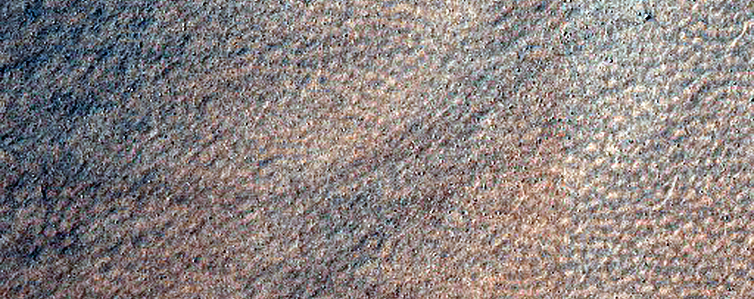 Dust Devil Track Monitoring