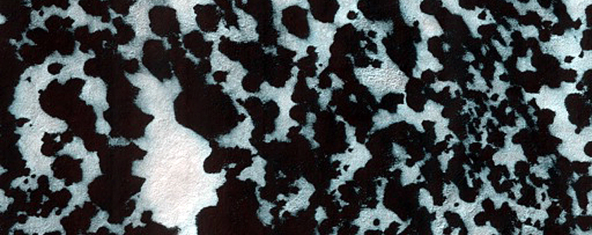 Region Dubbed Starfish