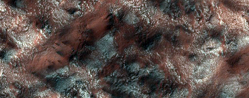 Fans and Araneiforms