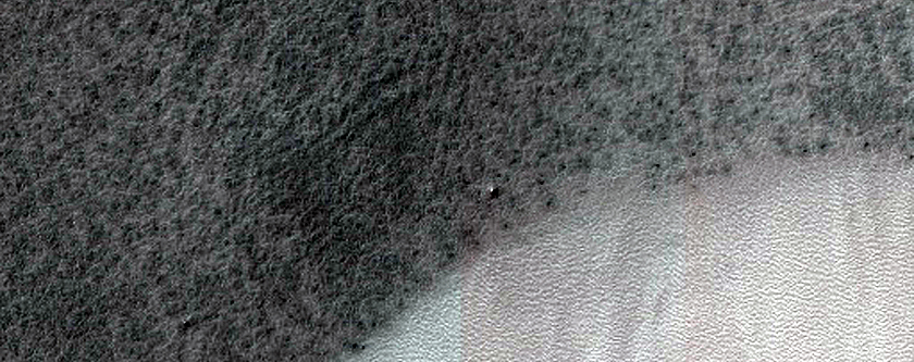 Thickly Frosted Polar Gullies
