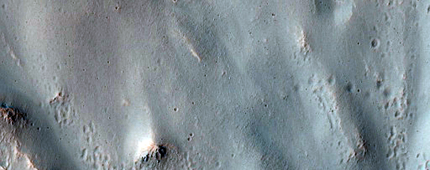 Well Developed Pole Facing Gullies on Fractured Lobe