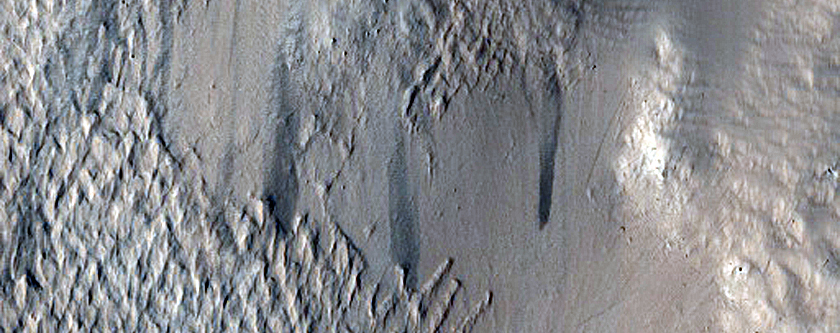 Nicholson Crater Rim