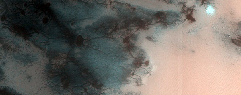 Jeans Crater Dune Field Seasonal Monitoring