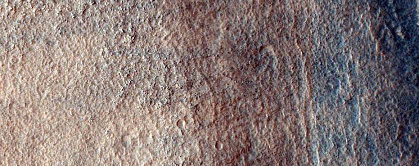 Possible Tuya