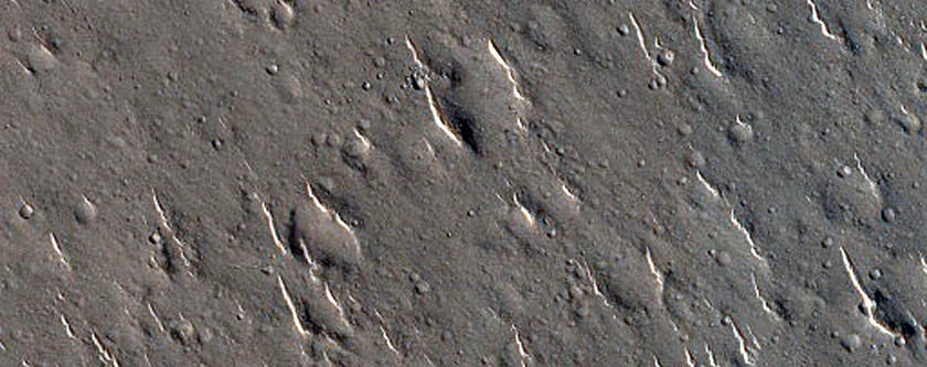 Isidis Planitia