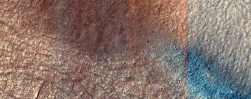 Dune Survey