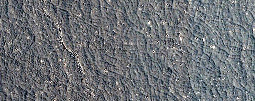 Flood Lavas in Cerberus Palus