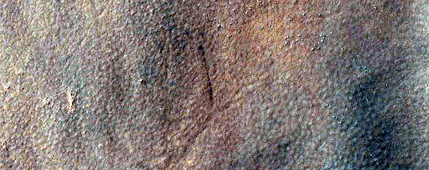 Dune Survey