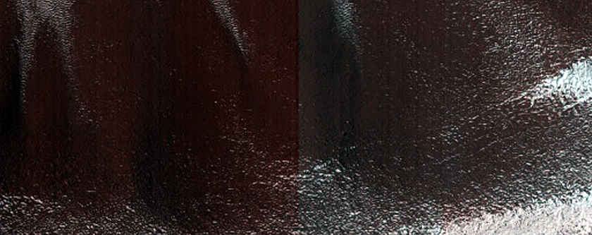 Immature Gullies near Sisyphi Cavi