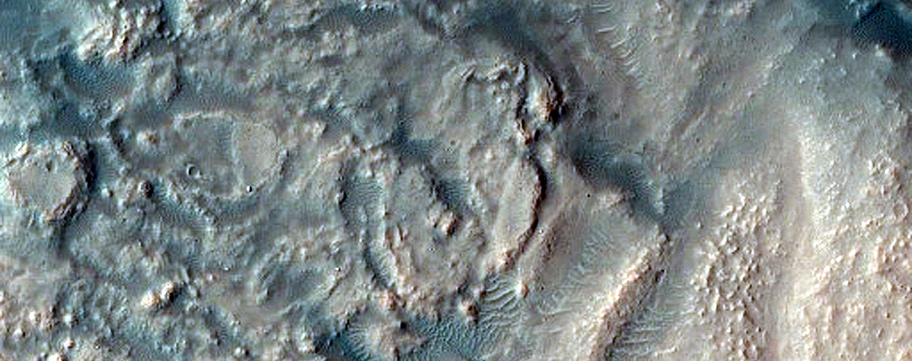 Dune Survey