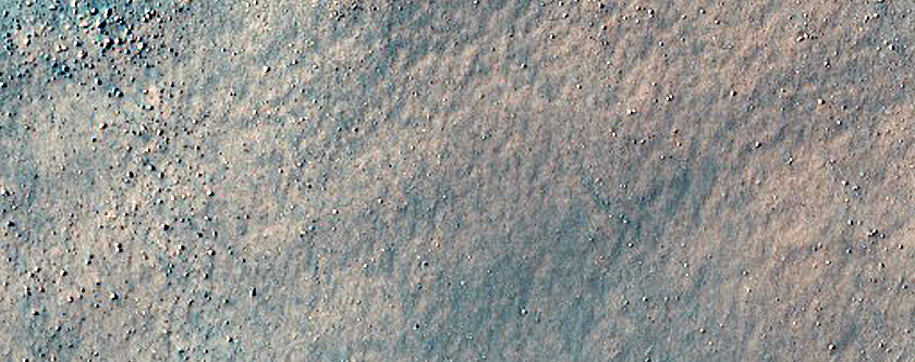 Dune Survey