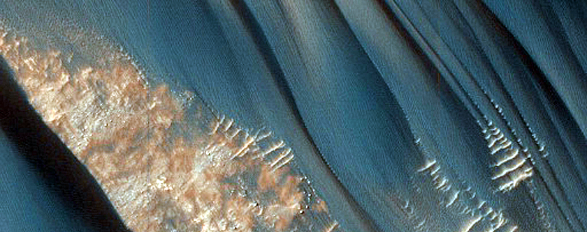 Possible Active Linear Dunes in Northwest Argyre Planitia