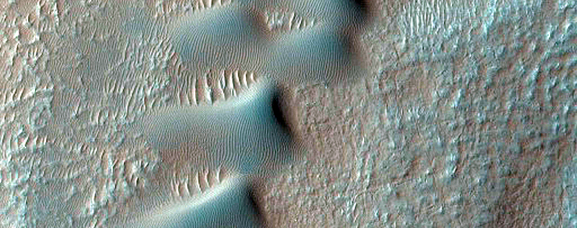 Dune Survey