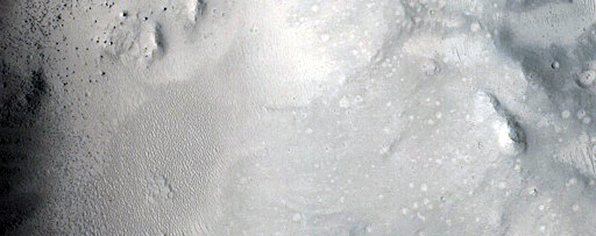 Frost Survey in Steep and Fresh-Looking Crater