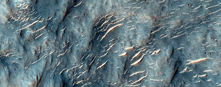 Southern Mid-Latitude Terrain