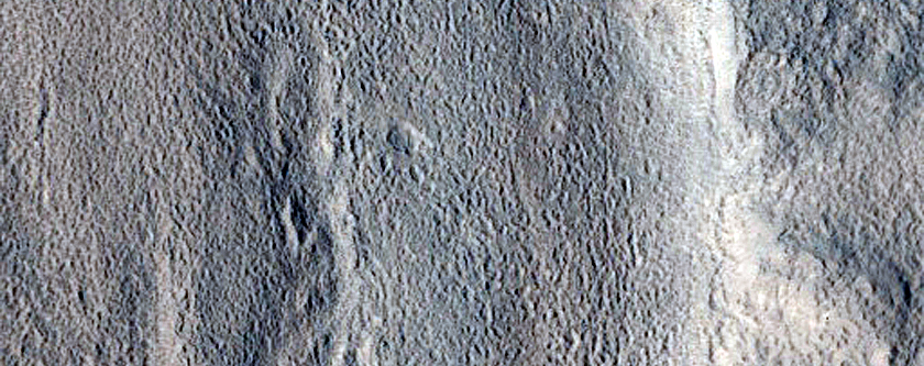 Channel and Fretted Terrains