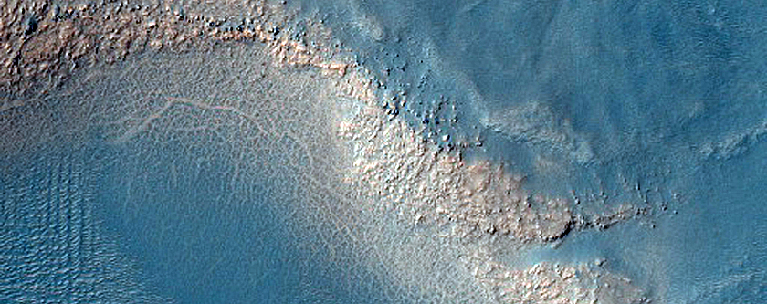 Potential Scallop-Like Pits in Argyre Planitia