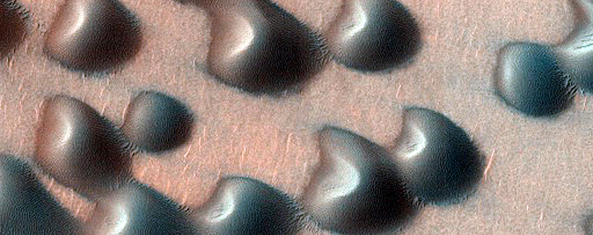 Monitor USGS Dune Database Entry Number 2579-573