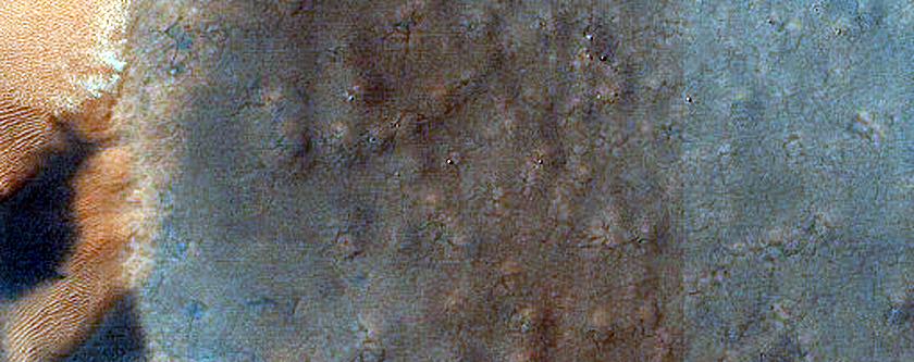 Dune with Seasonally-Persistent Light-Toned Features
