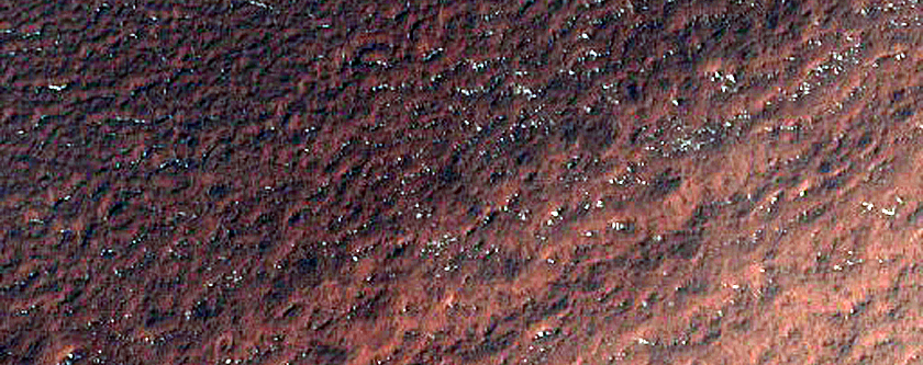 Seasonal Streaks on South Polar Layered Deposits