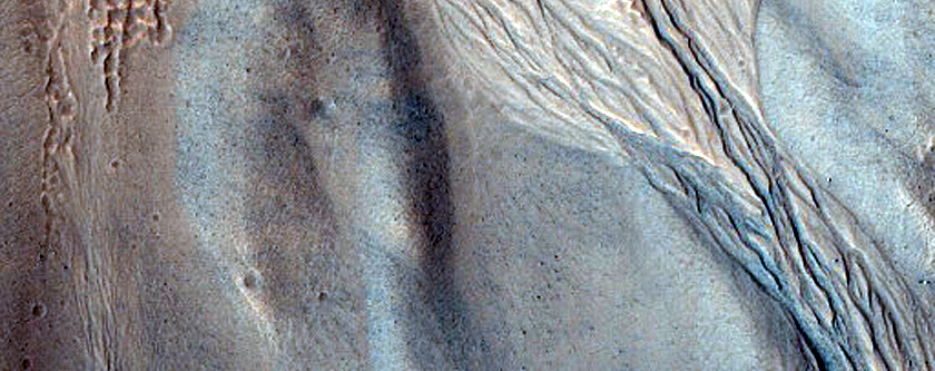Gully Monitoring