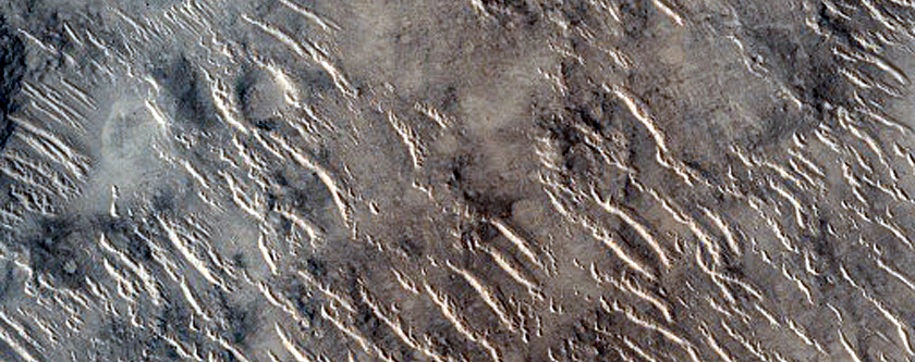 Isidis Planitia