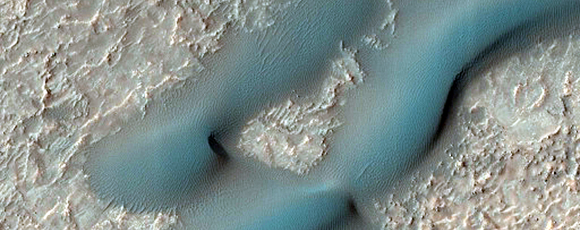 Dune Survey