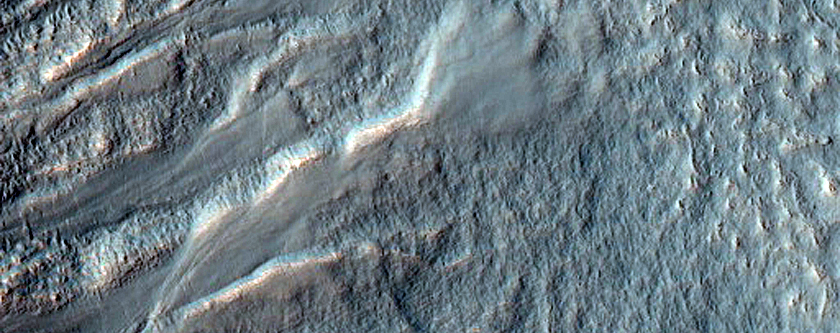 Gully Monitoring