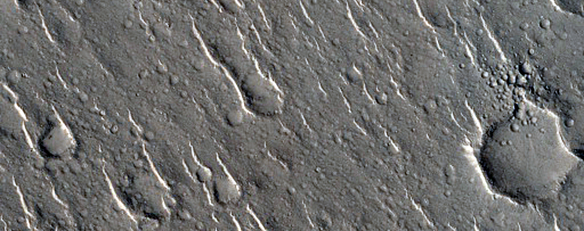 Isidis Planitia