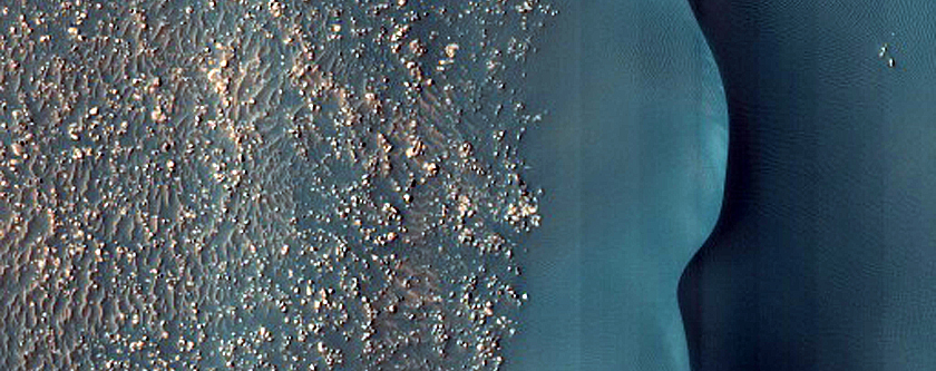 Dune Survey