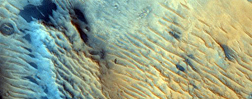 Dune Field