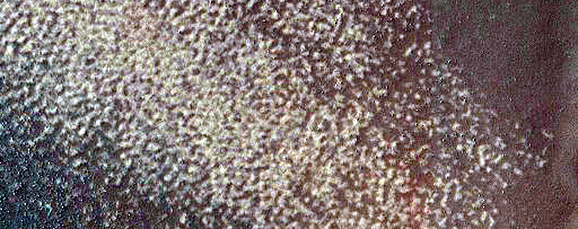 Dune Field