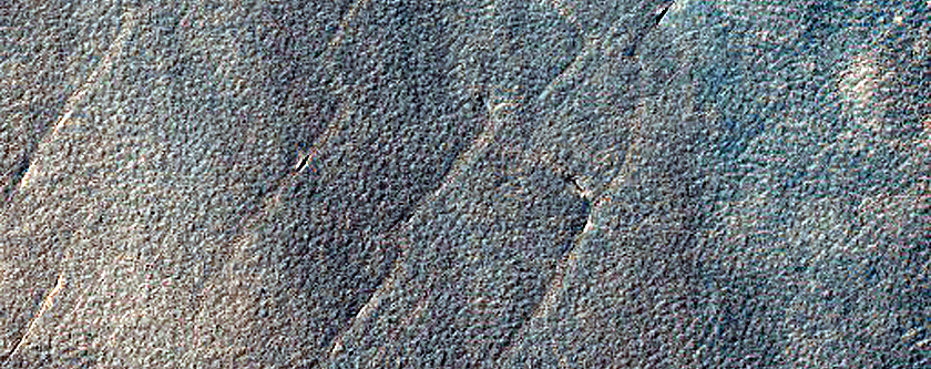Terrain Sample