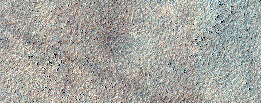 Terrain Sample