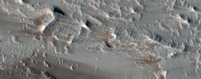 Daedalia Planum Albedo Variations
