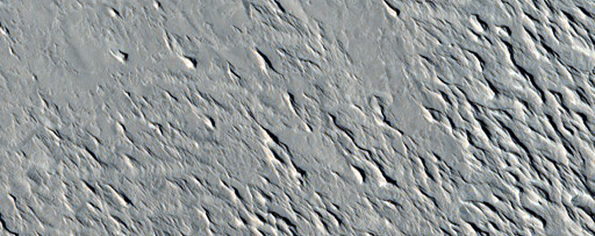 Candidate Recent Impact Site