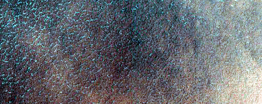 Possible Spiders and Dune Field