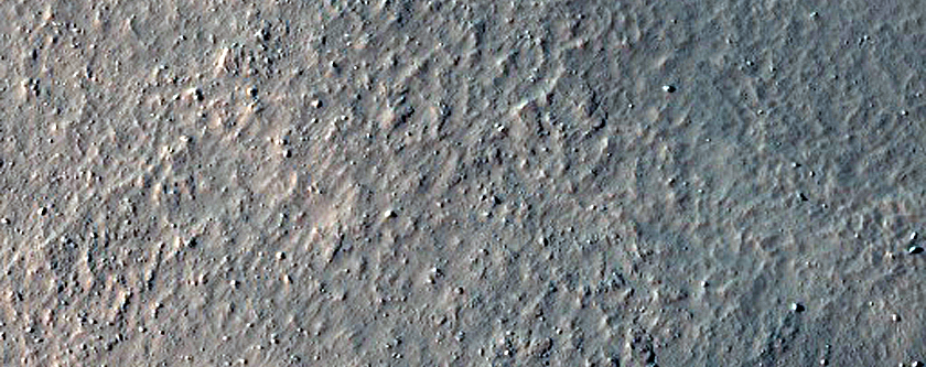 Possible Gully-Associated Light-Toned Materials in Nereidum Montes