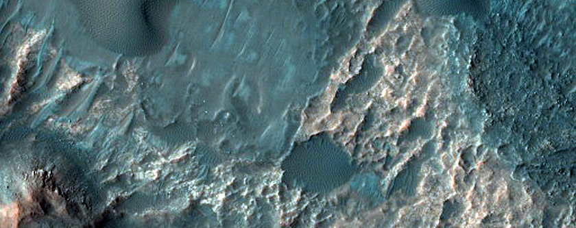 Dune Field