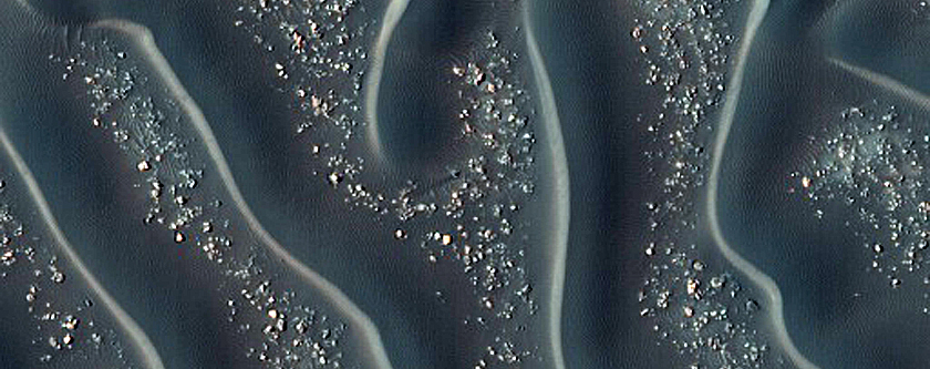 Dune Field