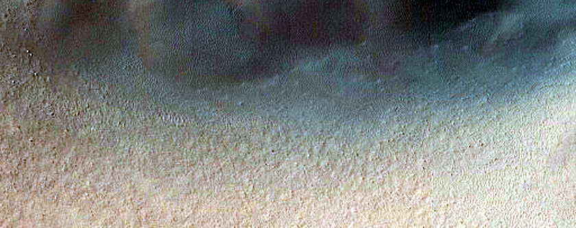 Dune Field