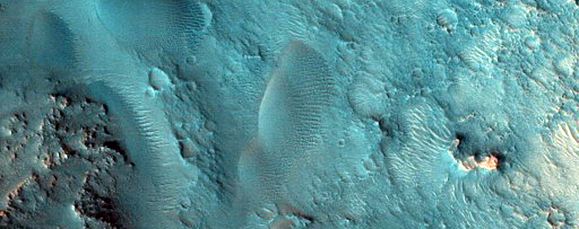 Dune Field