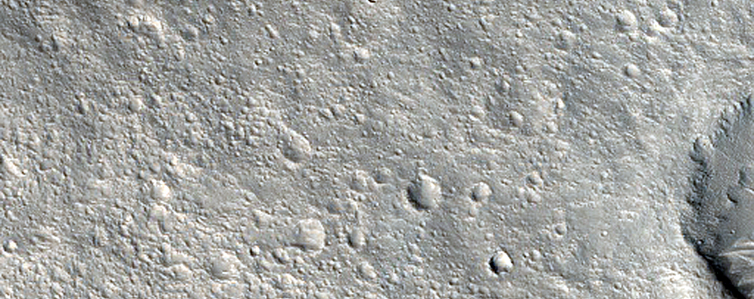 Pie-Like Feature in Nepenthes Planum
