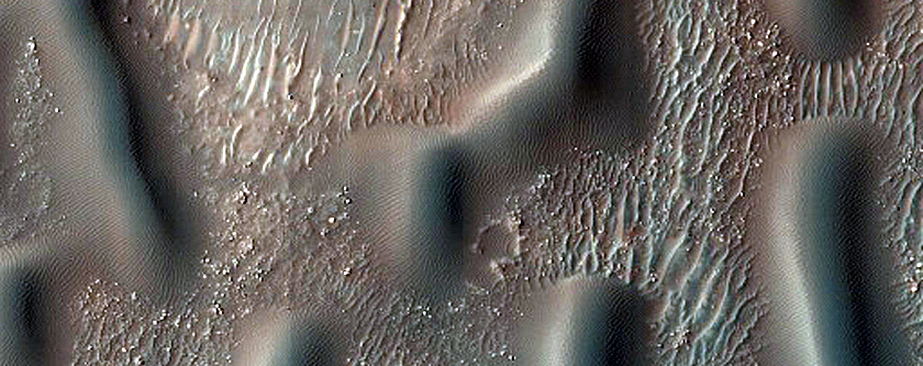 Dune Field