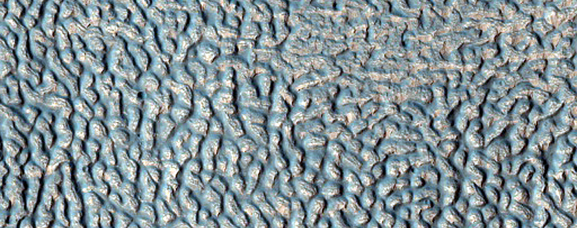 Ice-Rich Crater Fill