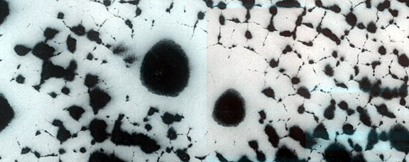 Seasonal Change of Dome Dunes and Polygonal Features in South Polar Region