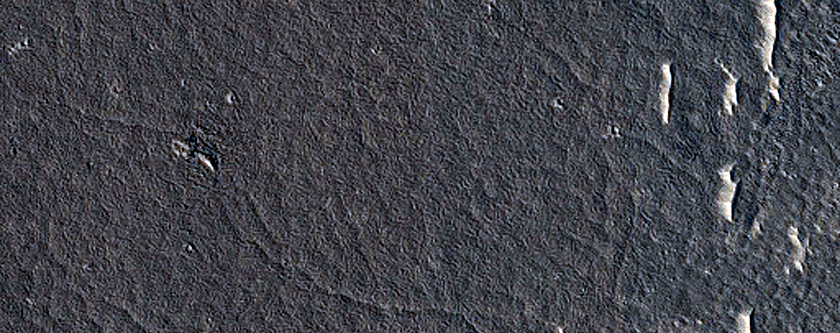 Flows North of Source of Athabasca Valles