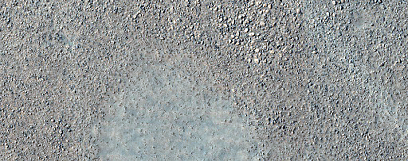 Terrain Sample